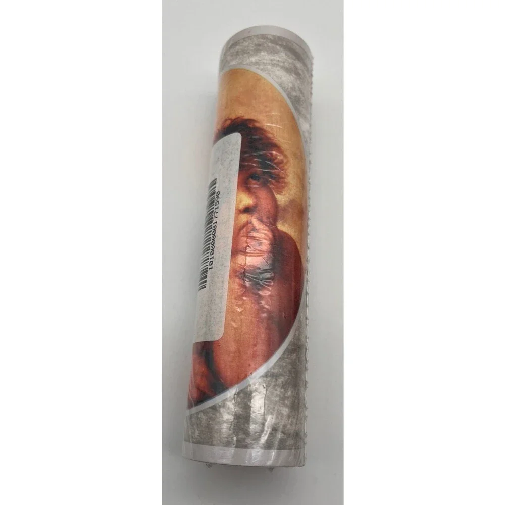 Imperial Wallpaper Border 5 Yard Rolls Angel Cherubs Sistine Madonna Raphael NEW